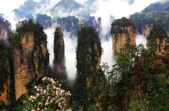 张家界新闻爆料热线,见证城市脉搏,倾听民声心声 第2张 张家界新闻爆料热线,见证城市脉搏,倾听民声心声 第2张